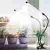 Grow Healthy Indoor Plants With 50W 84 LED Dual Head Clip Plant Lights - 4/8/12H Timer & 5 Dimmable Levels