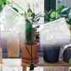 Grow Healthy Indoor Plants With 50W 84 LED Dual Head Clip Plant Lights - 4/8/12H Timer & 5 Dimmable Levels